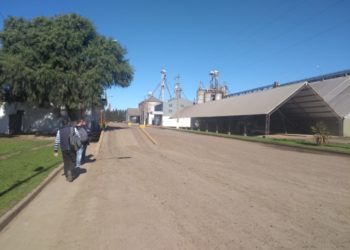 El SISA se presentó en sociedad: será obligatorio registrarse desde el 1° de noviembre