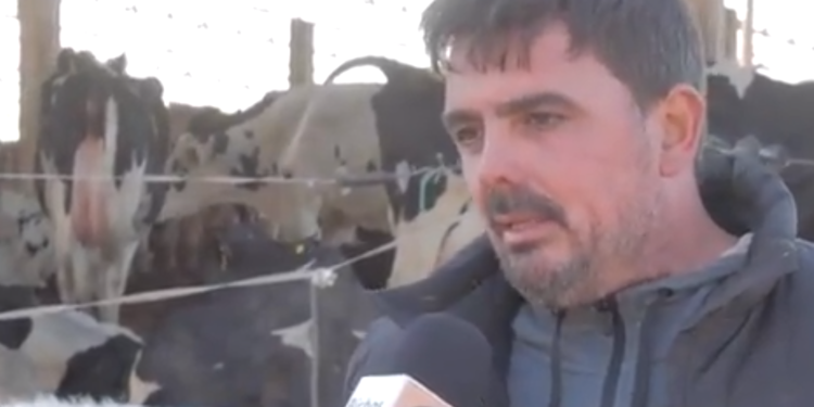 Testimonios de buena leche: Martín Bono, productor de Oliva