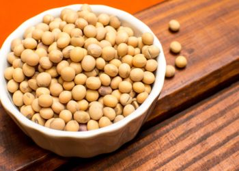 El gobierno ya no compartirá las retenciones a la soja con las provincias