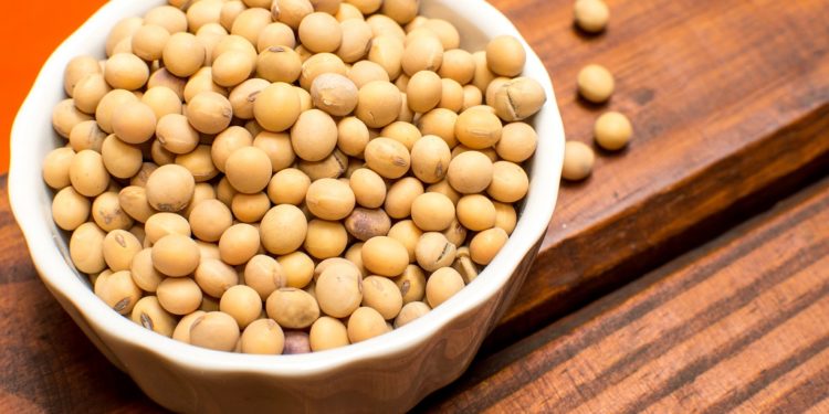 El gobierno ya no compartirá las retenciones a la soja con las provincias