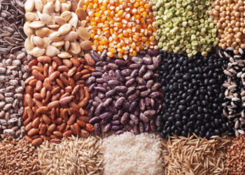 Muchos cerebros juntos pidiendo por una nueva ley de semillas