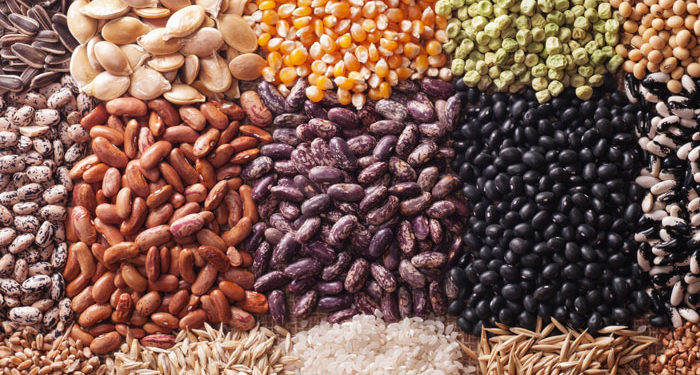 Muchos cerebros juntos pidiendo por una nueva ley de semillas