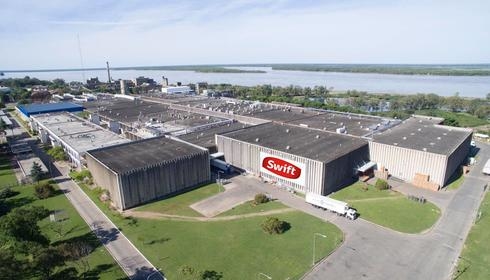 Para conseguir novillos, el principal frigorífico exportador los compra a “valor dólar”