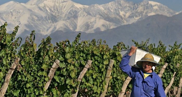 Buenas prácticas comerciales: En Mendoza hay un proyecto para que no abusen del viñatero