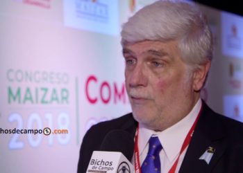 Alberto Morelli, de Maizar: “Podría haber un traspaso a soja de los que querían hacer maíz”