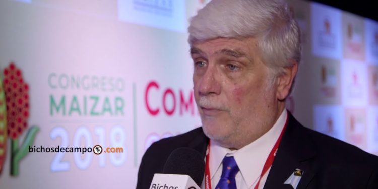 Alberto Morelli, de Maizar: “Podría haber un traspaso a soja de los que querían hacer maíz”