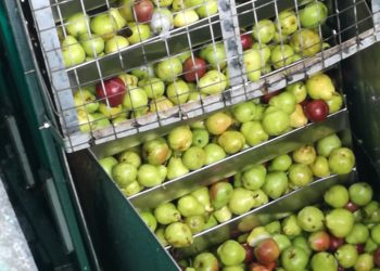 Con las neo-retenciones, las economías regionales resignarán ingresos por casi 400 millones de dólares