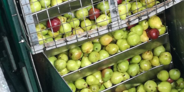 Con las neo-retenciones, las economías regionales resignarán ingresos por casi 400 millones de dólares