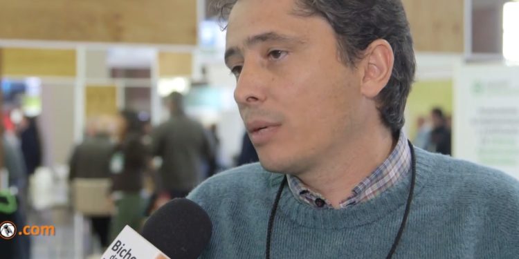 Juan Pablo Vélez: “El desafío de las Agtech es que tengan impacto en el bolsillo”
