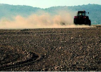 Advierten que la vieja Ley de Arrendamientos colabora a “degradar” los campos