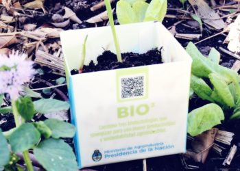 Se lanzó la Comisión Nacional de biomateriales: ¿Y eso cómo se come?