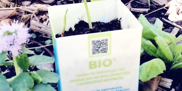 Se lanzó la Comisión Nacional de biomateriales: ¿Y eso cómo se come?