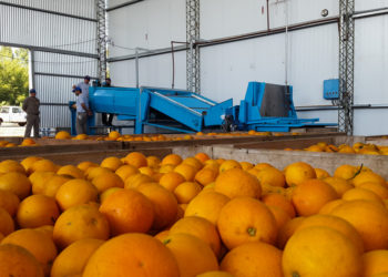 Corrientes tiene una de las cooperativas agrícolas más jóvenes del país