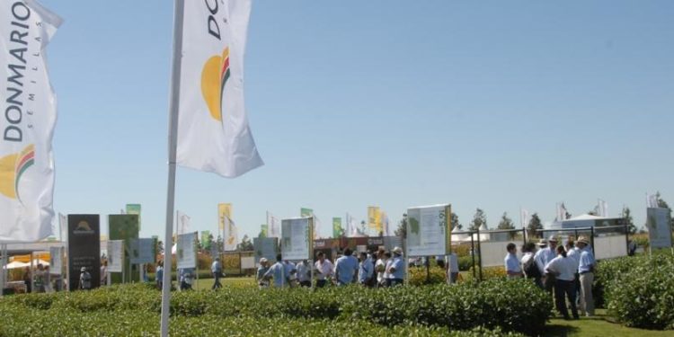 Para mejorar el rinde de la sojas, Don Mario se lanza a hacer edición génica