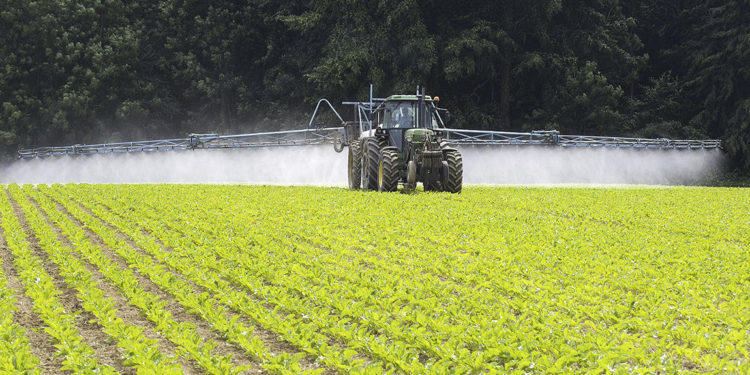 Brasil tiene lo que en la Argentina no existe: datos oficiales sobre agroquímicos