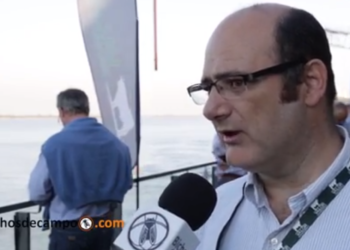 La ganadería está estancada y hay tres cosas por cambiar, advierte José Lizzi