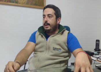 Los productores de Gualeguaychú acuden a la justicia para poder sembrar soja y maíz