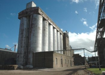 Investigarán a Molinos Cañuelas por su posición dominante en el negocio harinero