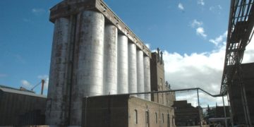 Investigarán a Molinos Cañuelas por su posición dominante en el negocio harinero
