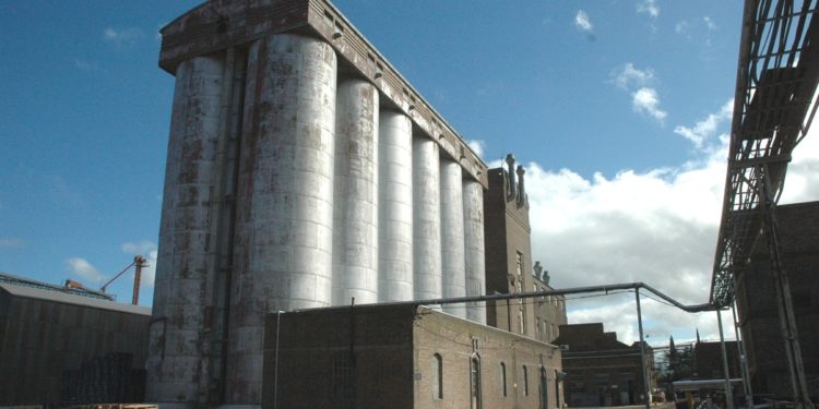 Investigarán a Molinos Cañuelas por su posición dominante en el negocio harinero