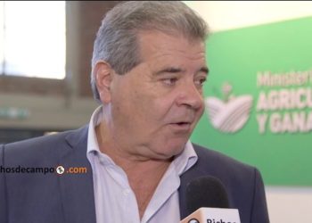 Córdoba advirtió que el nuevo código penal podría condicionar la producción agropecuaria