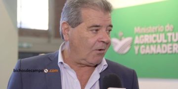 Córdoba advirtió que el nuevo código penal podría condicionar la producción agropecuaria
