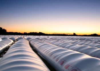 Los argentinos guardan todo lo valioso en bolsas plásticas, incluida la mitad de su cosecha