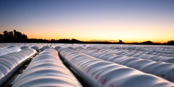 Los argentinos guardan todo lo valioso en bolsas plásticas, incluida la mitad de su cosecha