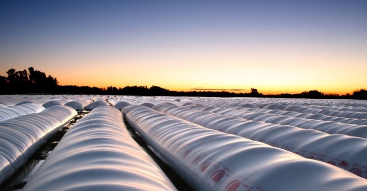 Los argentinos guardan todo lo valioso en bolsas plásticas, incluida la mitad de su cosecha