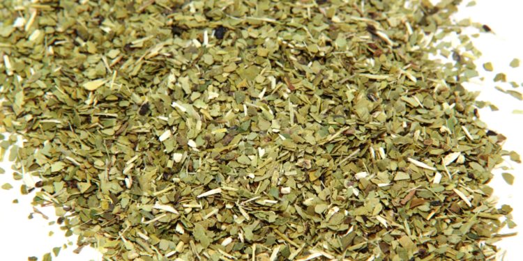 El precio de la yerba se definió por consenso y con una suba de casi 20%