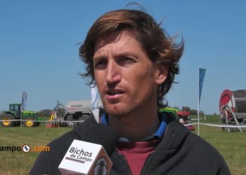 Diego Pérez, asesor CREA: “El productor pone casi 1.000 dólares por hectárea, con rentabilidades muy bajas”