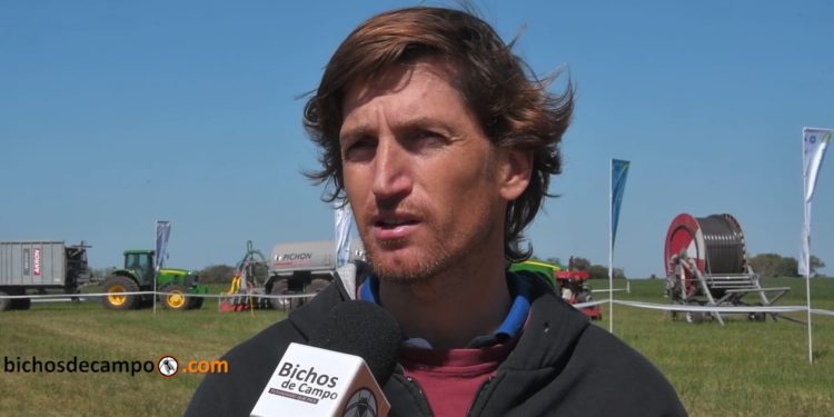 Diego Pérez, asesor CREA: “El productor pone casi 1.000 dólares por hectárea, con rentabilidades muy bajas”