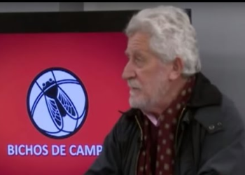 Una pregunta a Miguel Schiariti: ¿Por qué cayó tan fuerte el consumo de carne?