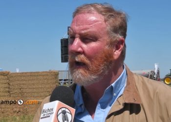 Los contratistas forrajeros empiezan a meter las manos en la bosta