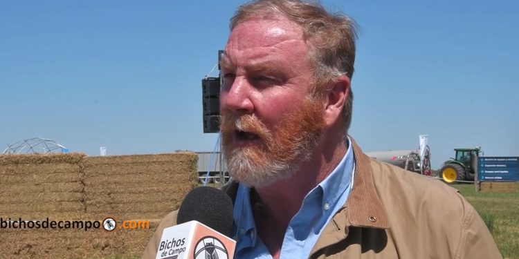 Los contratistas forrajeros empiezan a meter las manos en la bosta