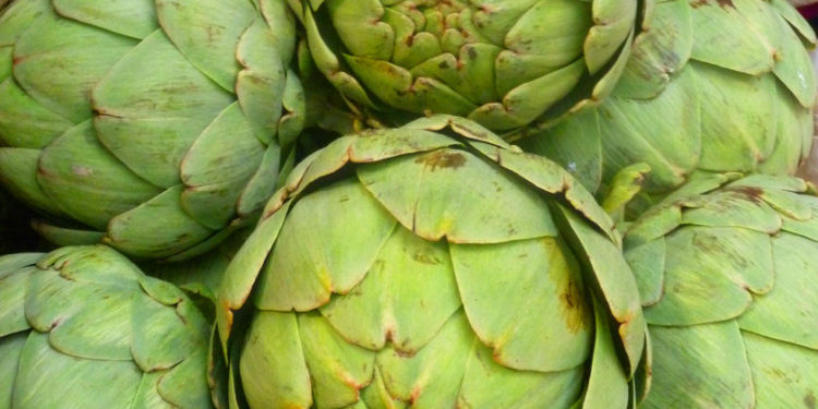 Productores de alcauciles la pelean para que no decaiga su consumo