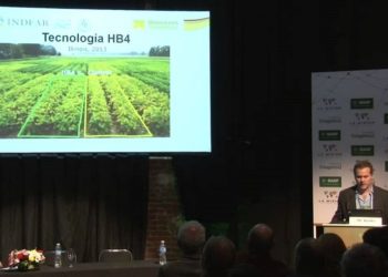 Intenso lobby de Bioceres para que el gobierno apruebe su trigo transgénico