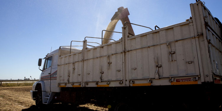 Chau diclorvós, tenés los días contados…