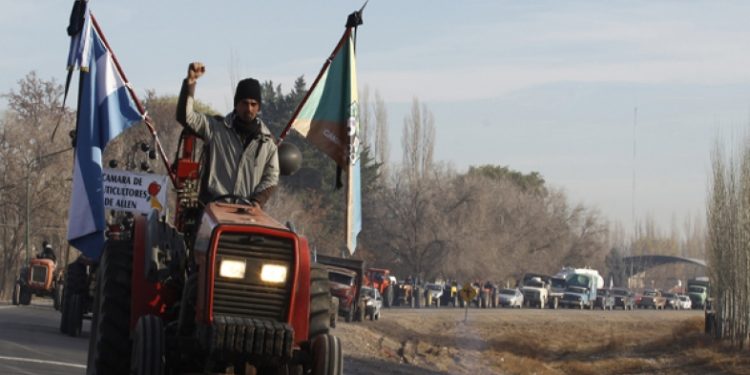 Desencantados con el gobierno, los productores descubren que la verdadera grieta era con la política