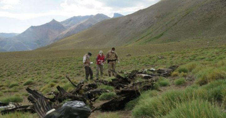 Prohíben cinco viejos plaguicidas, empezando por el carbofurano que mató a 34 cóndores