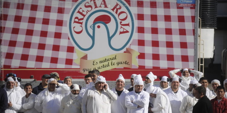 Un diciembre distinto para Cresta Roja: se pondrá en marcha la faena en Planta 2