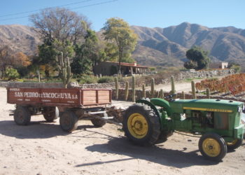 Sabores y saberes: Don Arnaldo y su legado, el vino Yacochuya y aquellas  serenatas a Cafayate