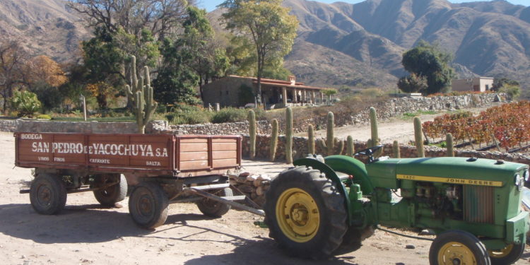 Sabores y saberes: Don Arnaldo y su legado, el vino Yacochuya y aquellas  serenatas a Cafayate