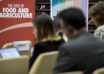 ¿Hambre cero? Suben a 821 millones las personas que todavía pasan hambre en el planeta