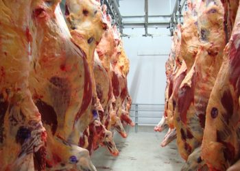 Según el USDA, en 2019 Argentina vuelve a ser el 5° exportador mundial de carne