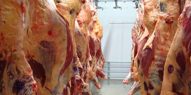 Según el USDA, en 2019 Argentina vuelve a ser el 5° exportador mundial de carne