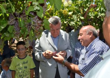 La neo-retenciones pueden dejar a algunos más secos que pasas de uva