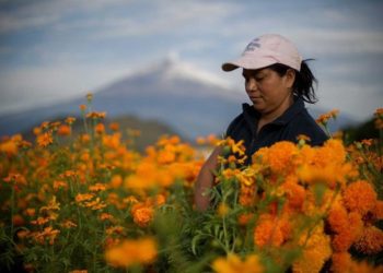Las mujeres rurales son discriminadas y así lo expresaron en una encuesta