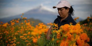 Las mujeres rurales son discriminadas y así lo expresaron en una encuesta