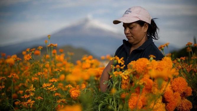Las mujeres rurales son discriminadas y así lo expresaron en una encuesta